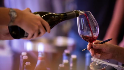 Curso Completo de Iniciação à Prova de Vinhos Nível 1 e Nível 2
