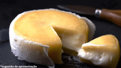Harmonização vinho e queijo