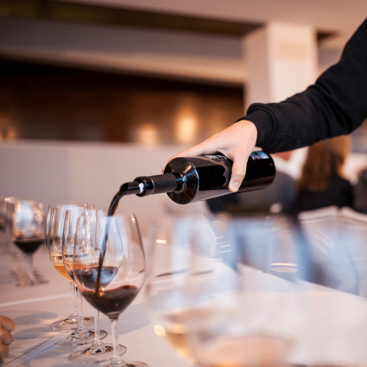 Prova de vinhos em Lisboa